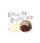 #つめこみきなさん③♪（個別スタンプ：19）