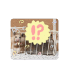 #つめこみきなさん③♪（個別スタンプ：20）