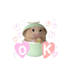 #つめこみきなさん③♪（個別スタンプ：21）