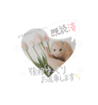 #つめこみきなさん③♪（個別スタンプ：26）