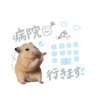 #つめこみきなさん③♪（個別スタンプ：32）
