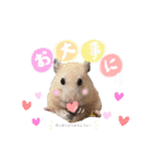 #つめこみきなさん③♪（個別スタンプ：38）