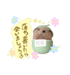 #つめこみきなさん③♪（個別スタンプ：40）