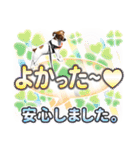 ジャックラッセルテリア ♡ 敬語 ♡友犬02（個別スタンプ：28）