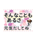 ジャックラッセルテリア ♡ 敬語 ♡友犬02（個別スタンプ：29）