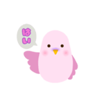 返信するインコ（個別スタンプ：2）