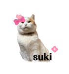 さやかのいえのねこたち（個別スタンプ：10）
