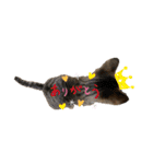 さやかのいえのねこたち（個別スタンプ：31）