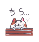 かわいい、おっさんネコ（個別スタンプ：13）