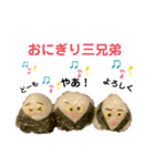 おにぎり三兄弟スタンプ（個別スタンプ：1）