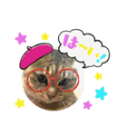 にゃんにゃんニャン（個別スタンプ：2）