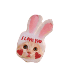 私は猫なの？（個別スタンプ：1）