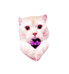 私は猫なの？（個別スタンプ：2）