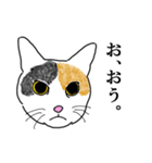 高貴なる猫のスタンプ（個別スタンプ：29）