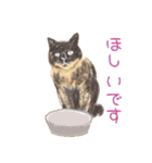 茶トラ猫、時々錆び猫スタンプ（個別スタンプ：12）