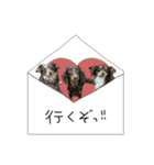 ♡ルビー・エクレア・ピス・ラブちゃん（個別スタンプ：1）