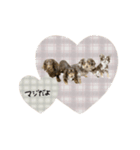 ♡ルビー・エクレア・ピス・ラブちゃん（個別スタンプ：7）
