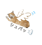ねこちゃんたちのゆかいな日常（個別スタンプ：3）