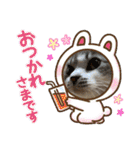 ねこちゃんたちのゆかいな日常（個別スタンプ：4）