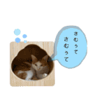 ねこちゃんたちのゆかいな日常（個別スタンプ：8）