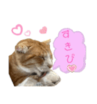 ねこちゃんたちのゆかいな日常（個別スタンプ：9）