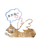 ねこちゃんたちのゆかいな日常（個別スタンプ：40）
