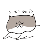 ねこねここねこズ（個別スタンプ：13）