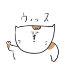 ねこねここねこズ（個別スタンプ：14）