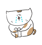ねこねここねこズ（個別スタンプ：22）
