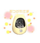 チンチラまるちゃん（個別スタンプ：3）