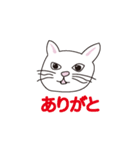 WHITE CAT LIFESTYLE（個別スタンプ：2）