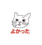 WHITE CAT LIFESTYLE（個別スタンプ：16）