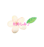 かわいいお花と日常会話♡（個別スタンプ：10）