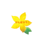 かわいいお花と日常会話♡（個別スタンプ：19）