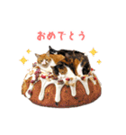 ねこ★デザインスタンプ2（個別スタンプ：22）