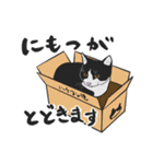 ねっこずの毎日使えるスタンプ（個別スタンプ：32）