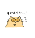 ふんわりどうぶつ うさみとぽんたぬ 敬語（個別スタンプ：17）