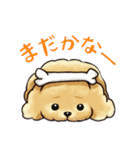 犬のトイプースタンプ（個別スタンプ：2）