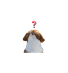ちゅらちゅらちゃん5（個別スタンプ：11）