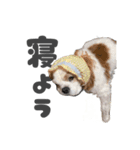 ミロちゃん第3弾（個別スタンプ：6）
