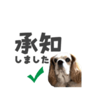 ミロちゃん第3弾（個別スタンプ：14）