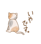 貫禄お猫様！！（個別スタンプ：12）