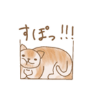 貫禄お猫様！！（個別スタンプ：27）