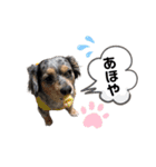 エイトPart6（個別スタンプ：12）