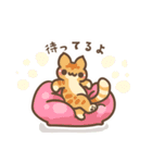 ねこいっぱい♡スタンプ（個別スタンプ：20）