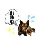 dadaダダ（個別スタンプ：6）