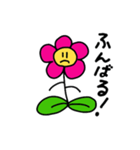 50-FLOWERS（個別スタンプ：16）