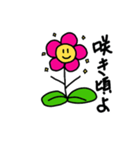 50-FLOWERS（個別スタンプ：24）