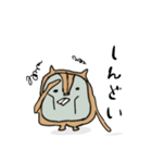 多分リス達のスタンプ（個別スタンプ：18）