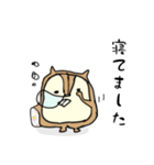 多分リス達のスタンプ（個別スタンプ：21）